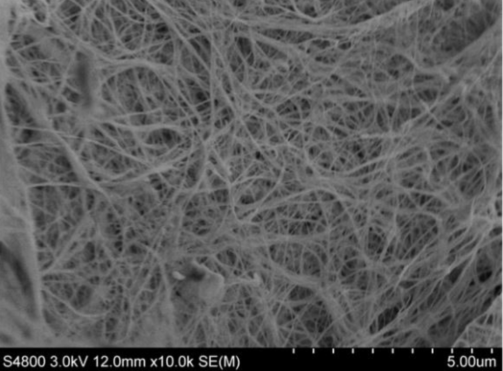 Bacterial Cellulose (BC) , bacterial nanocellulose TEM picture