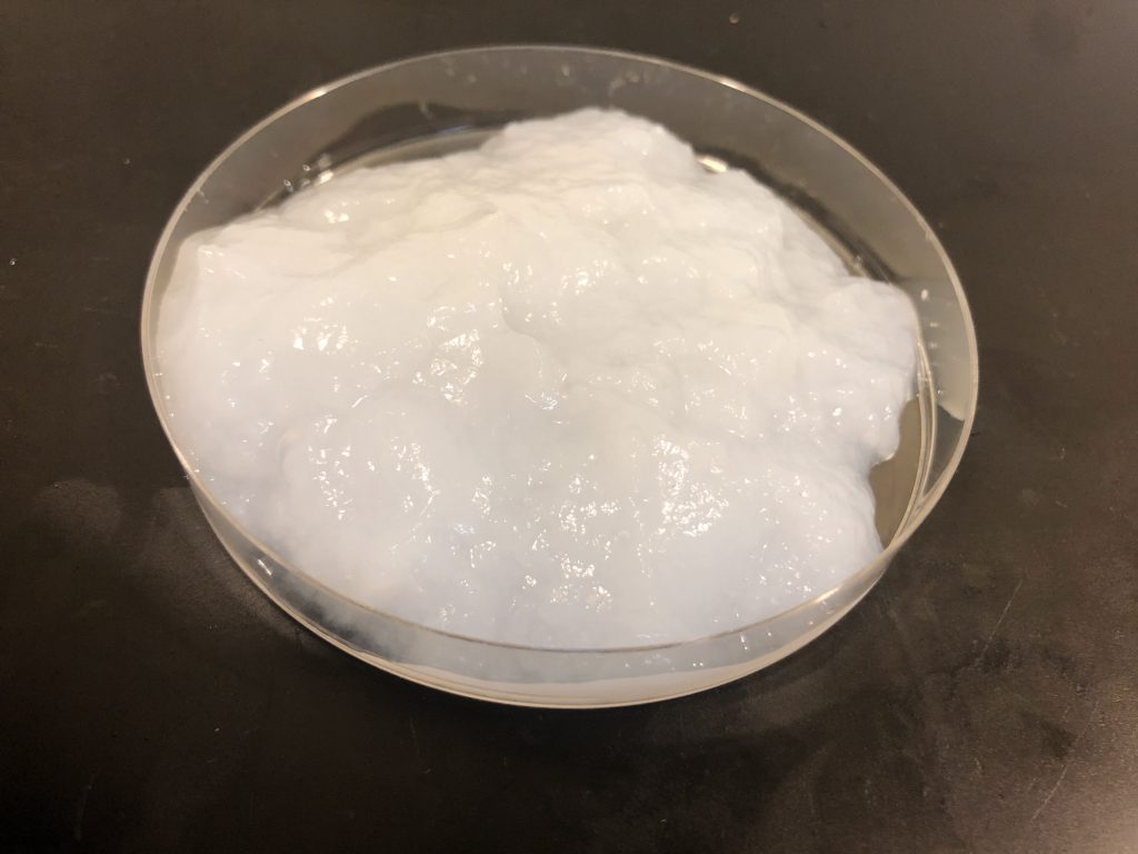 Bacterial Cellulose / Bacterial Nanocellulose Slurry