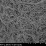 Bacterial Cellulose (BC) TEM 2