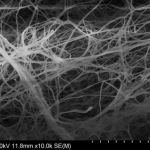 Bacterial Cellulose (BC) TEM 3